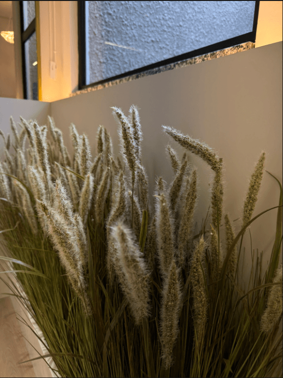 Detalhe das plantas que decoram a Clínica MC